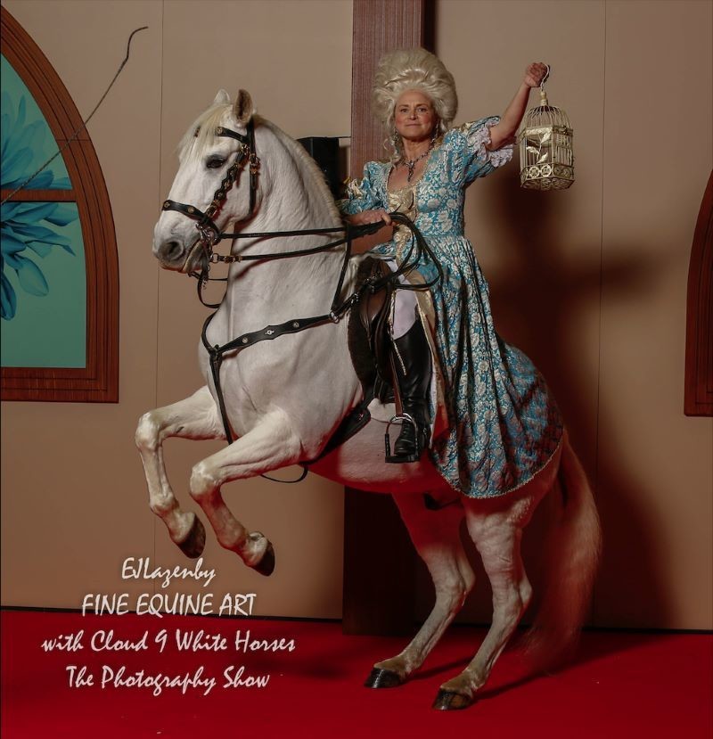 Other image for Photography is more than horseplay to Jane